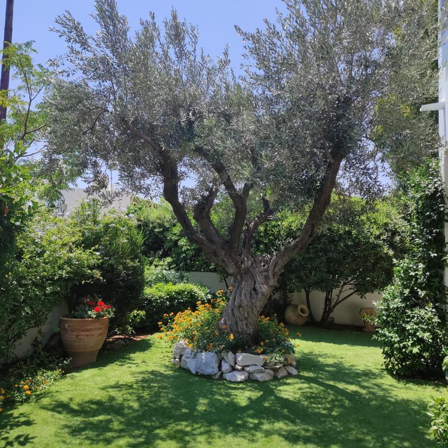 Porto Hydra - Villa Mirani Ermioni Luaran gambar